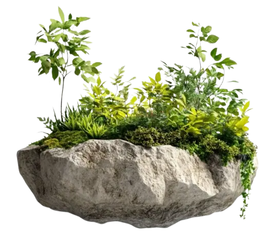 Sản phẩm An Nhiên